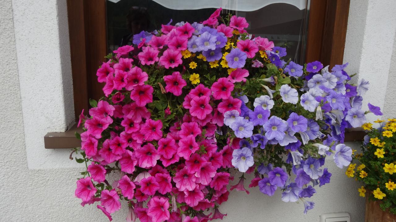 Hotel Garni Gimea 2*